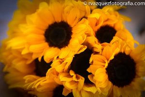 fotografo bodas barcelona